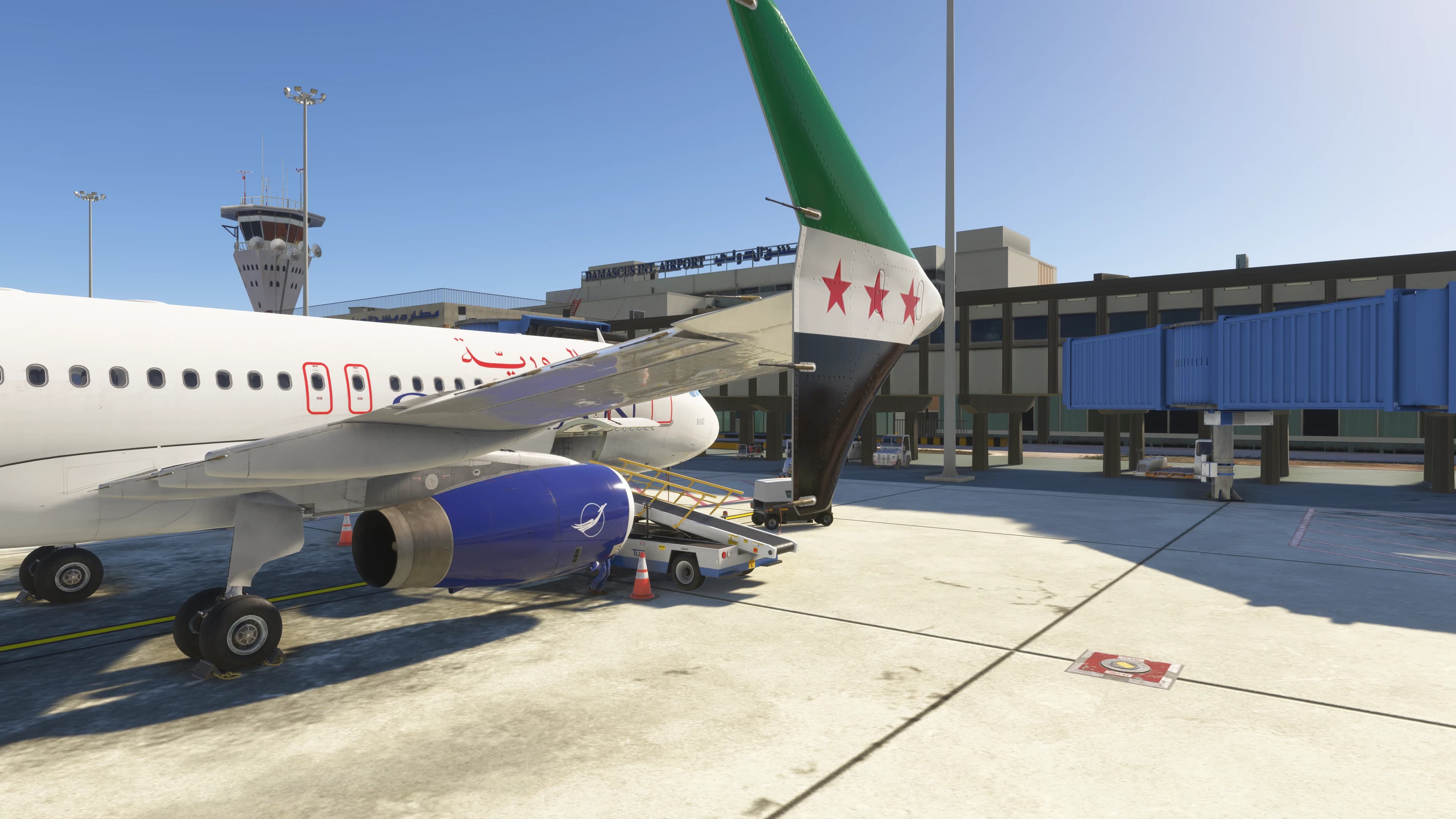 Virtual Aviators